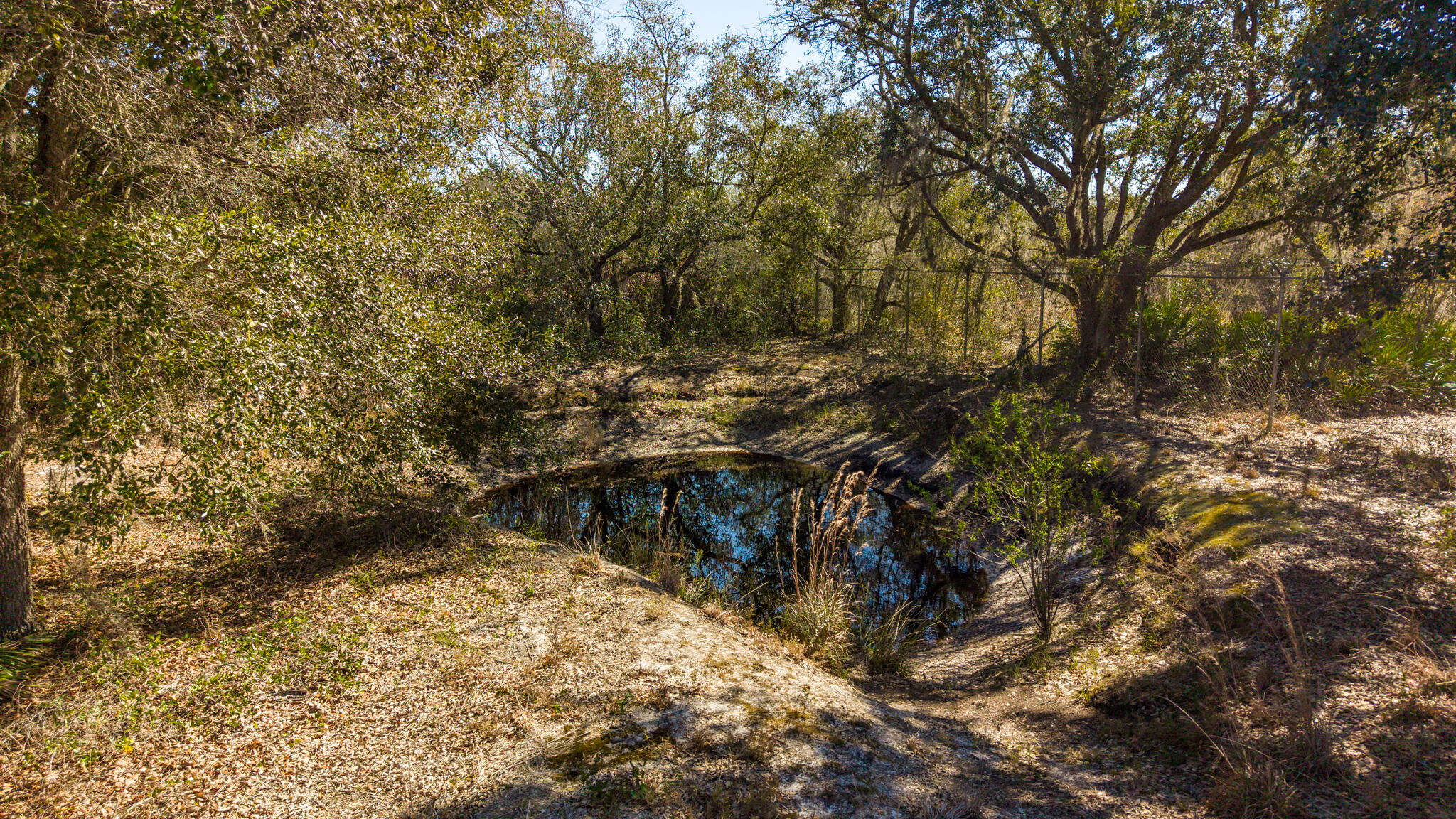 21486 Northwest 262nd Street Okeechobee, FL 34972 - Photo 5 of 22 a view of a yard with trees