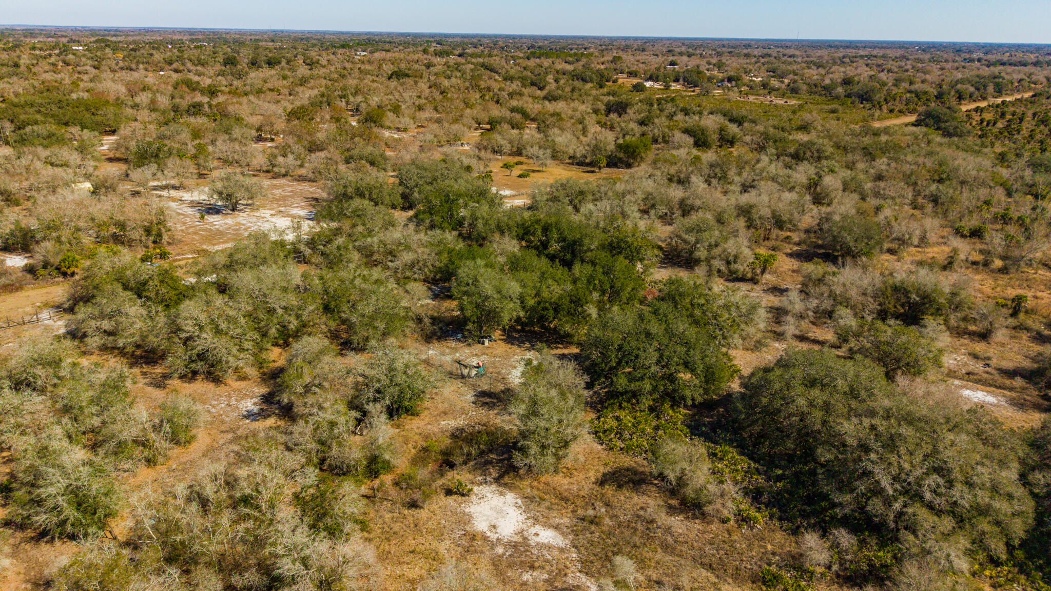 21486 Northwest 262nd Street Okeechobee, FL 34972 - Photo 9 of 22 a view of a yard