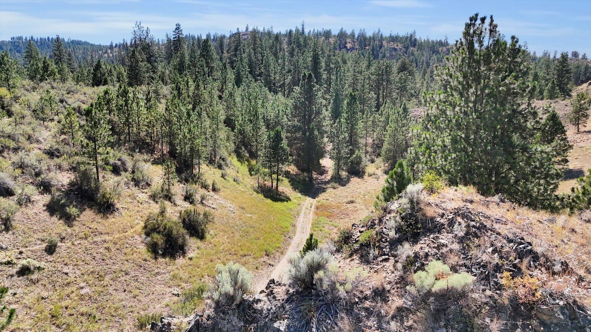 Parcel # Parcel Davenport, WA 99122 - Photo 26 of 32