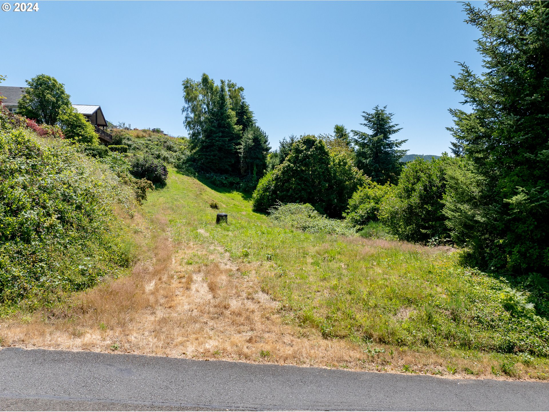 Spruce Street Wheeler, OR 97147 - Photo 5 of 15 a view of a yard with a tree