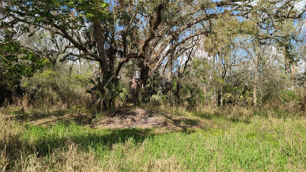 Gillette Road Zolfo Springs, FL 33890 - Photo 55 of 86 Gallery Image 55