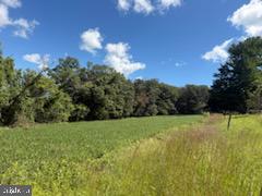 Mt Carmel Road Parkton, MD 21120 - Photo 11 of 15 Gallery Image 11