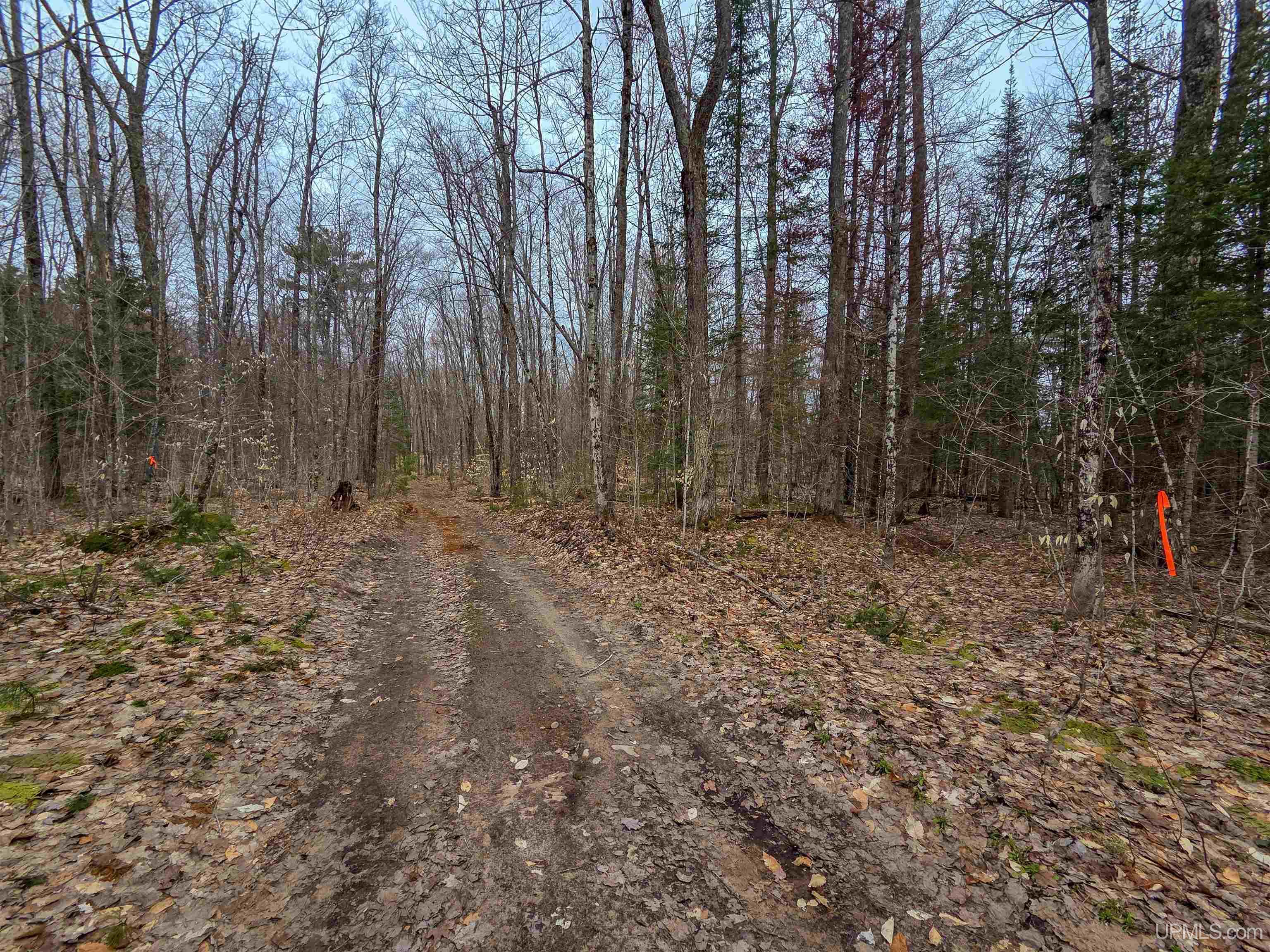 Tbd Big Twin Lake Road Wetmore, MI 49895 - Photo 9 of 14