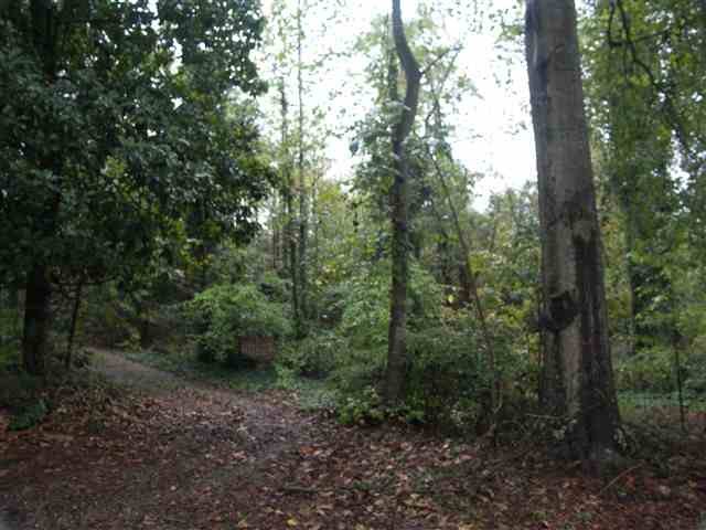 193 Campbell Mill Road Travelers Rest, SC 29690 - Photo 1 of 20 Gallery Image 1