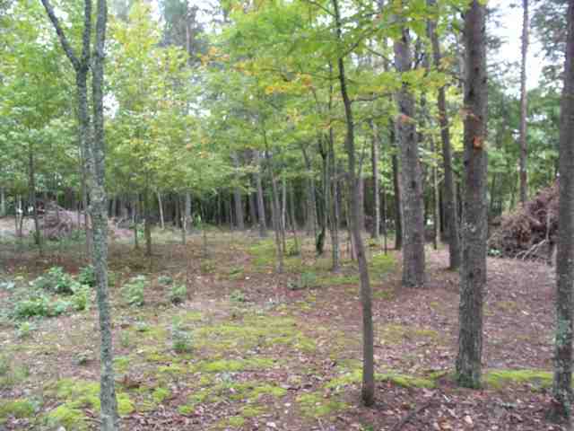 193 Campbell Mill Road Travelers Rest, SC 29690 - Photo 11 of 20 Gallery Image 11