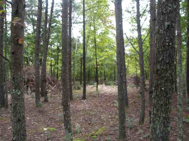193 Campbell Mill Road Travelers Rest, SC 29690 - Photo 12 of 20 Gallery Image 12