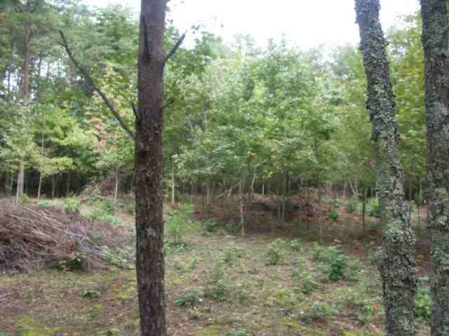193 Campbell Mill Road Travelers Rest, SC 29690 - Photo 15 of 20 Gallery Image 15
