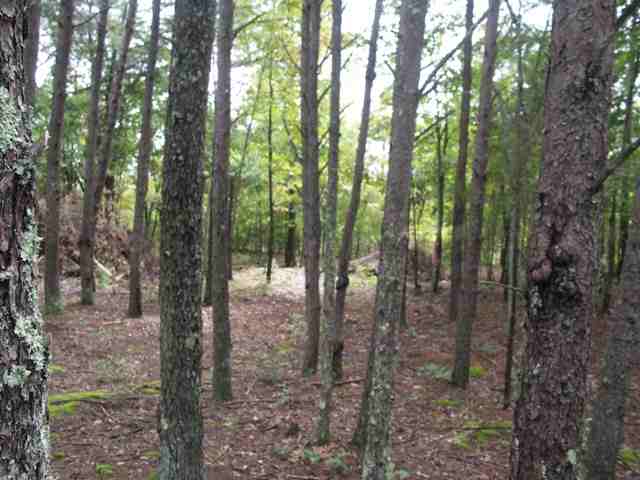 193 Campbell Mill Road Travelers Rest, SC 29690 - Photo 16 of 20 Gallery Image 16