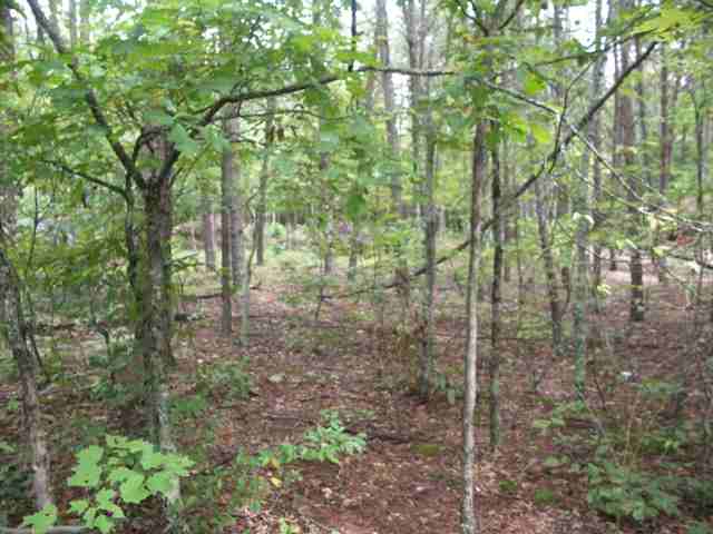 193 Campbell Mill Road Travelers Rest, SC 29690 - Photo 17 of 20 Gallery Image 17