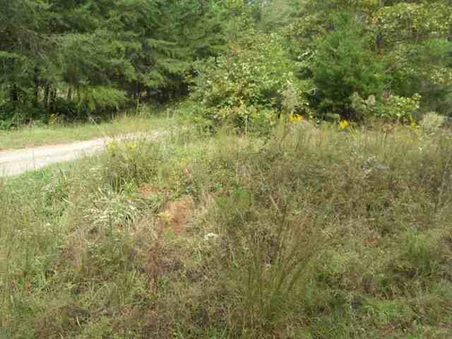 193 Campbell Mill Road Travelers Rest, SC 29690 - Photo 20 of 20 Gallery Image 20