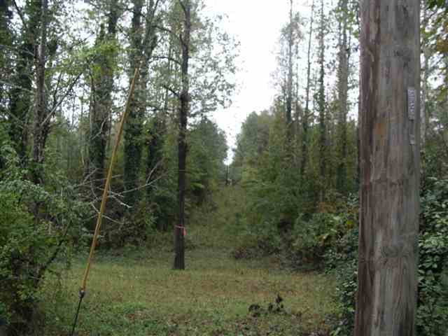193 Campbell Mill Road Travelers Rest, SC 29690 - Photo 3 of 20 Gallery Image 3