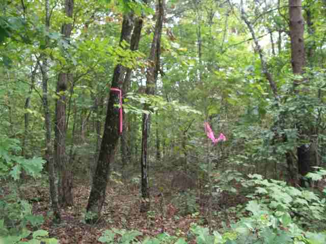 193 Campbell Mill Road Travelers Rest, SC 29690 - Photo 4 of 20 Gallery Image 4