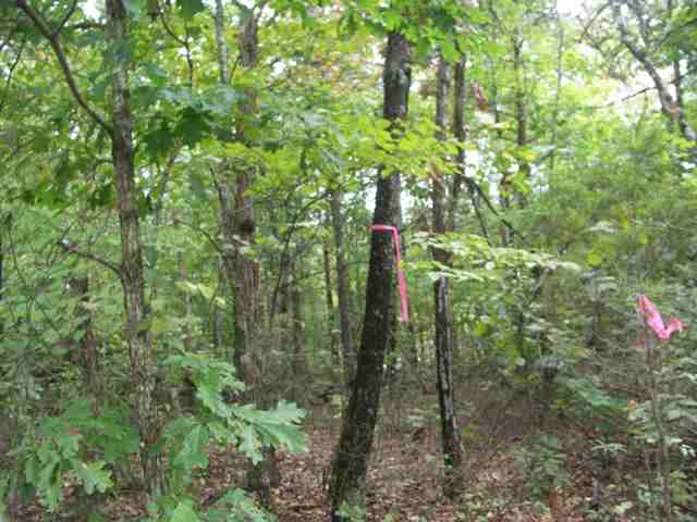 193 Campbell Mill Road Travelers Rest, SC 29690 - Photo 5 of 20 Gallery Image 5