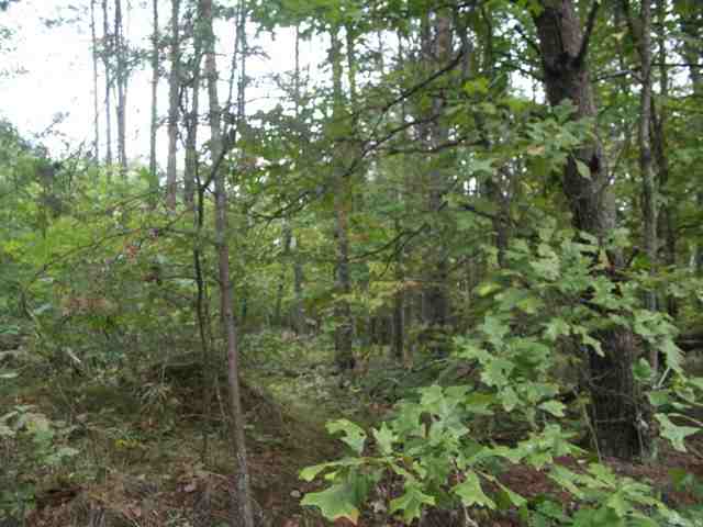 193 Campbell Mill Road Travelers Rest, SC 29690 - Photo 6 of 20 Gallery Image 6