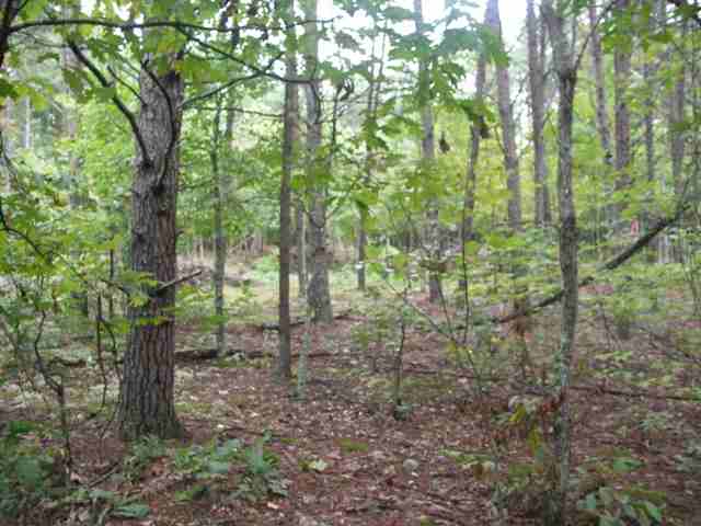 193 Campbell Mill Road Travelers Rest, SC 29690 - Photo 7 of 20 Gallery Image 7