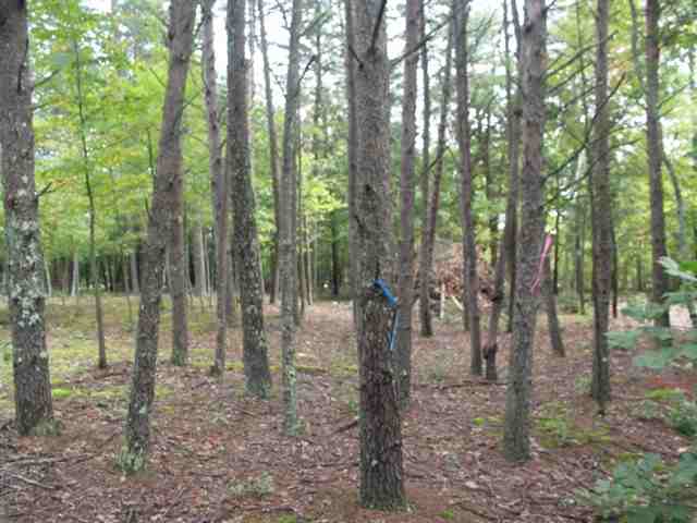 193 Campbell Mill Road Travelers Rest, SC 29690 - Photo 8 of 20 Gallery Image 8