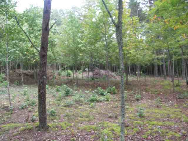 193 Campbell Mill Road Travelers Rest, SC 29690 - Photo 10 of 20 Gallery Image 10