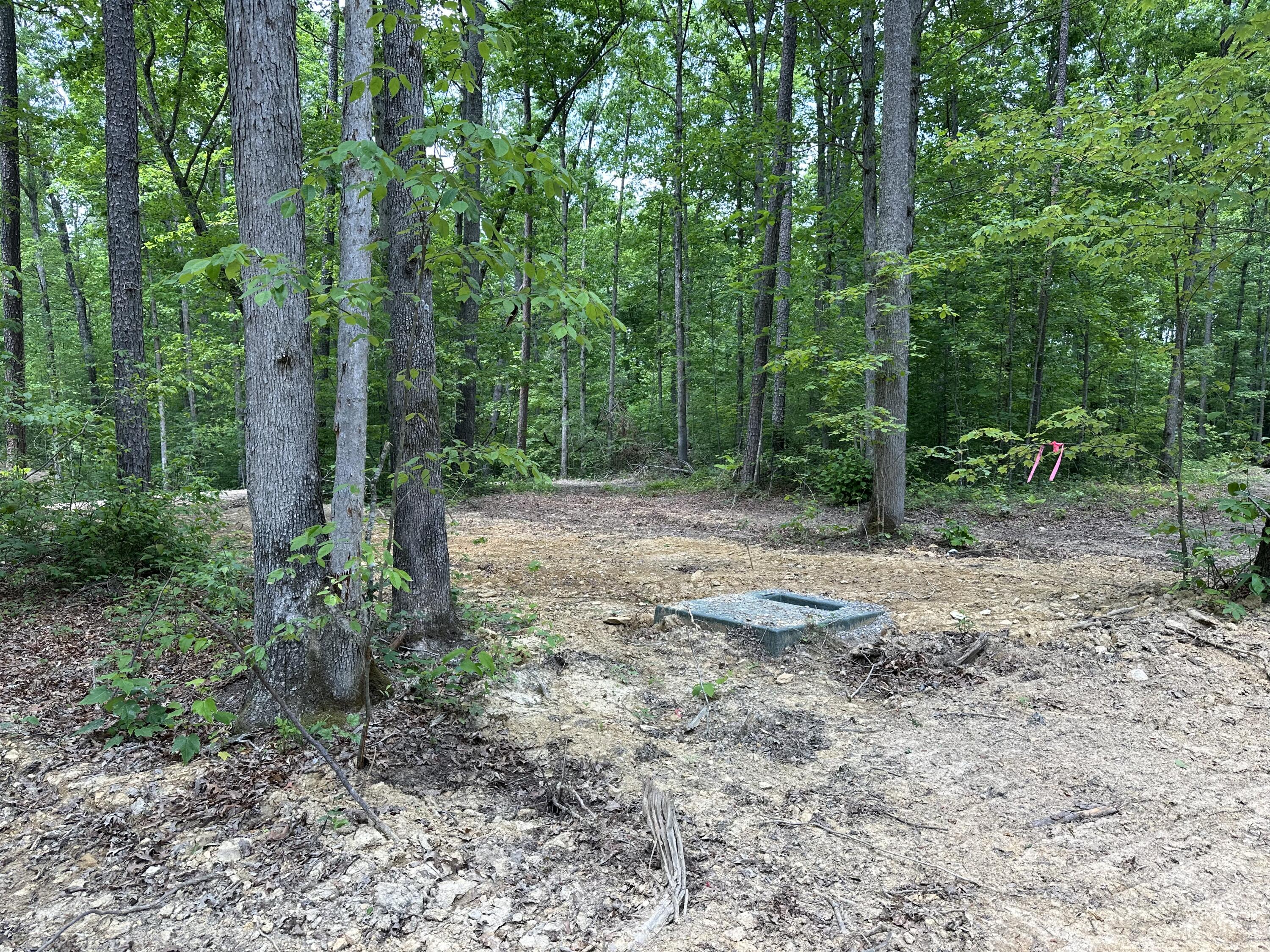 4 Big Sky Road Corbin, KY 40701 - Photo 1 of 12 IMG_5822