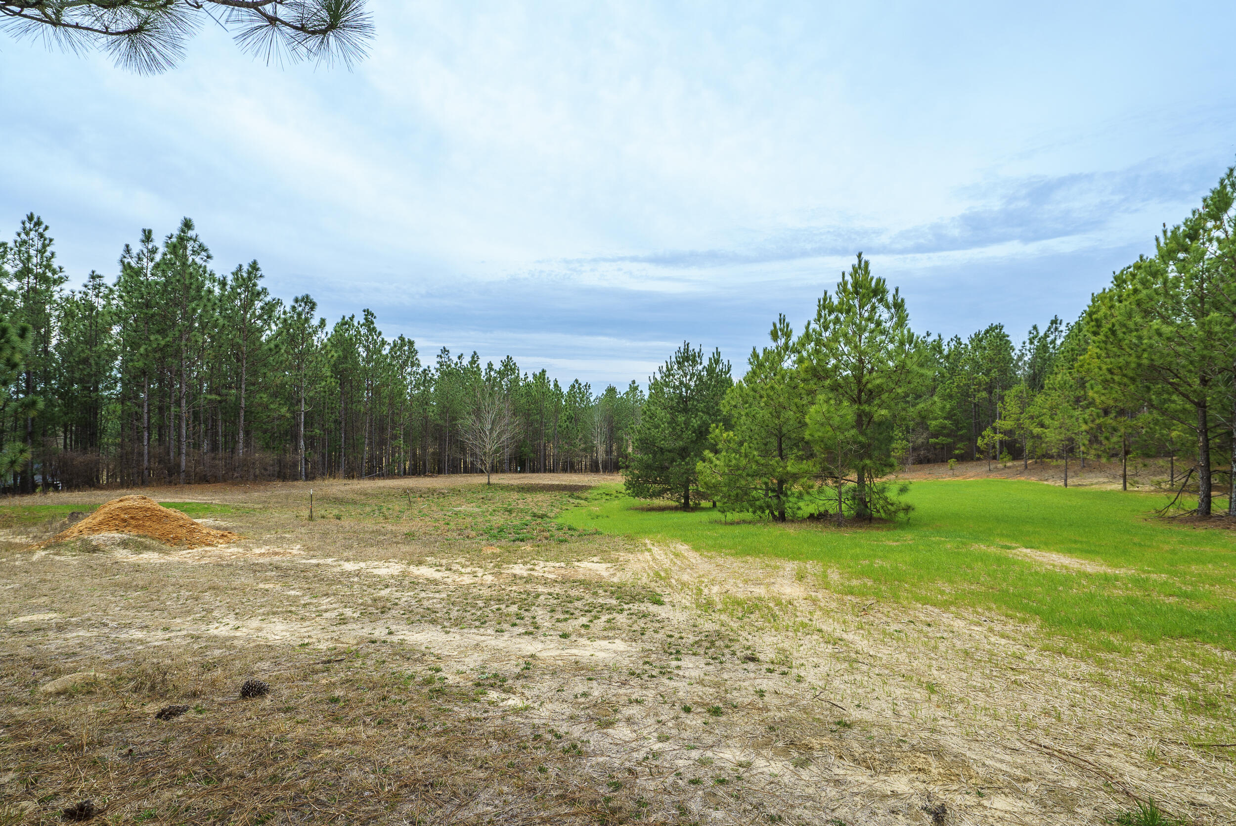 Lot 4-1 Simonside Court Aiken, SC 29803 - Photo 21 of 31