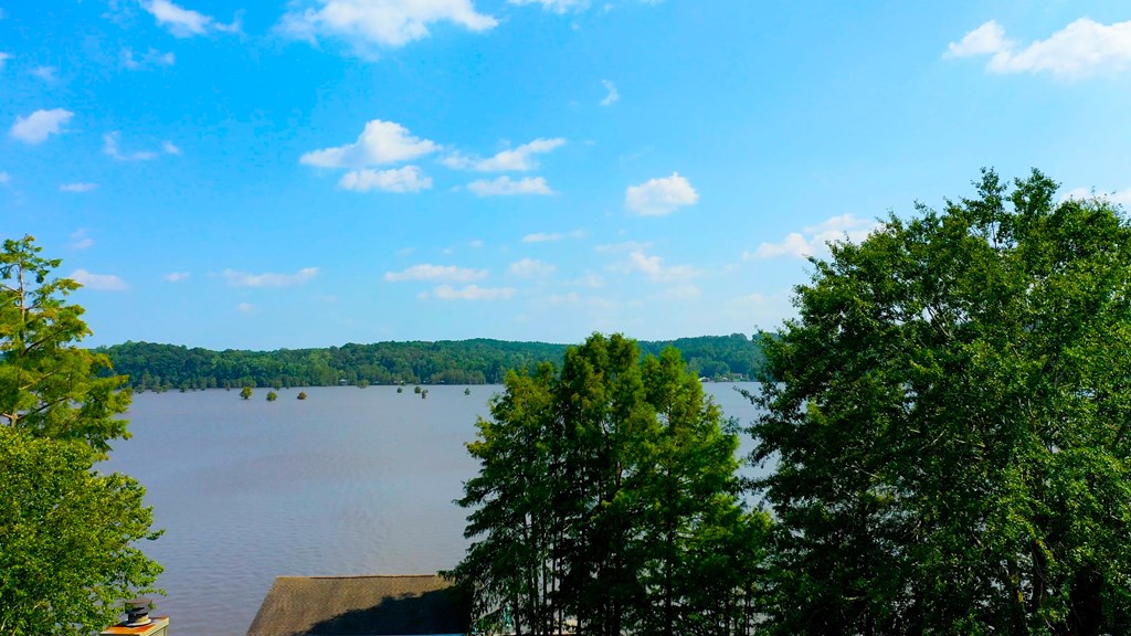 16922 Sims Road Dozier, AL 36028 - Photo 68 of 68