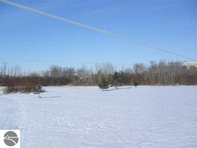 8510 Eroadman Road Merritt, MI 49667 - Photo 8 of 25 1723008-7.JPG