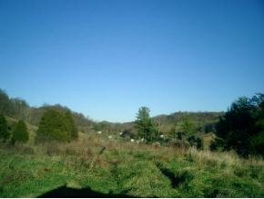 29450 Rich Valley Road Meadowview, VA 24361 - Photo 2 of 5 Photo 2