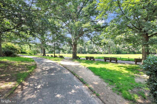 a backyard of a house with trees and plants