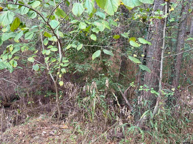 $535,000 | 20480 Clearwater Circle, Flint, TX 75762