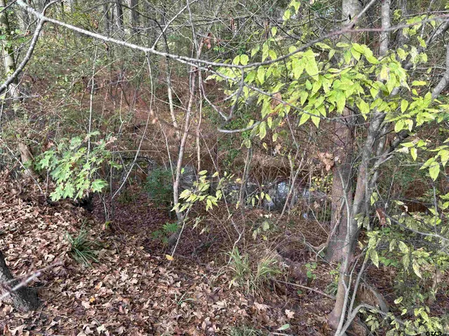 $535,000 | 20480 Clearwater Circle, Flint, TX 75762