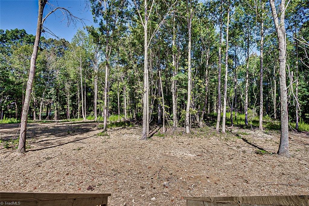 636 Ward Road Staley, NC 27355 - Photo 3 of 29 View of back yard.