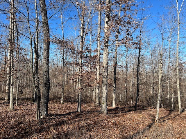 4 Slaughter Road Primm Springs, TN 38476 - Photo 3 of 5 a backyard of a house with lots of green space
