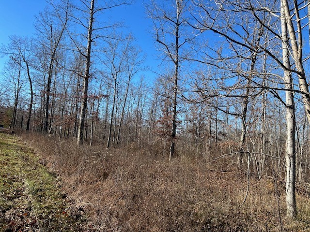 4 Slaughter Road Primm Springs, TN 38476 - Photo 5 of 5 a backyard of a house with lots of green space