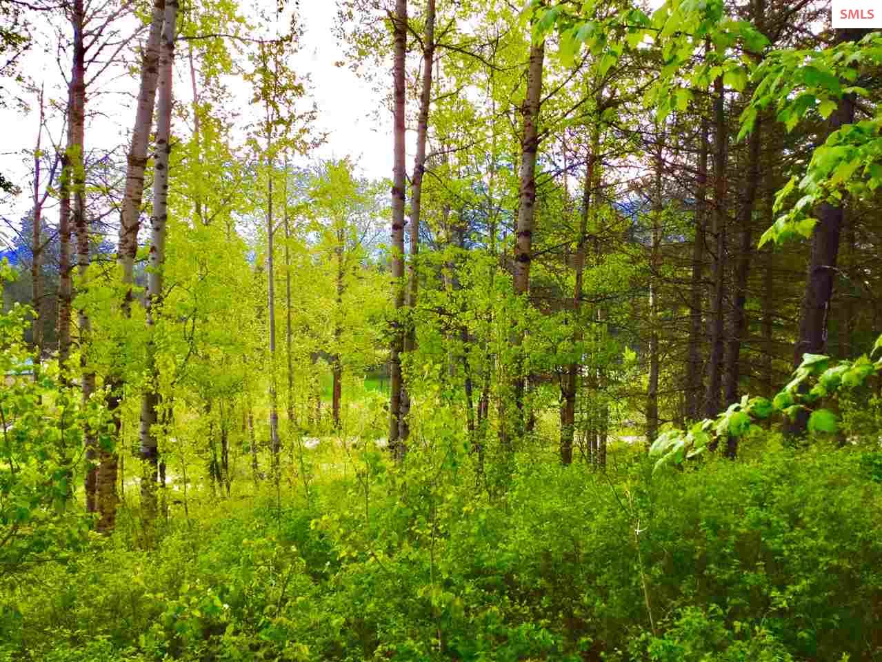 Nna Nna Road Sandpoint, ID 83864 - Photo 7 of 14
