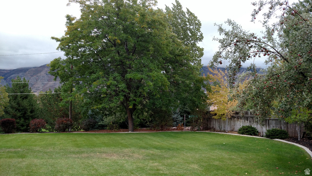 1360 Carterville Road Orem, UT 84097 - Photo 13 of 40 View of yard with a mountain view
