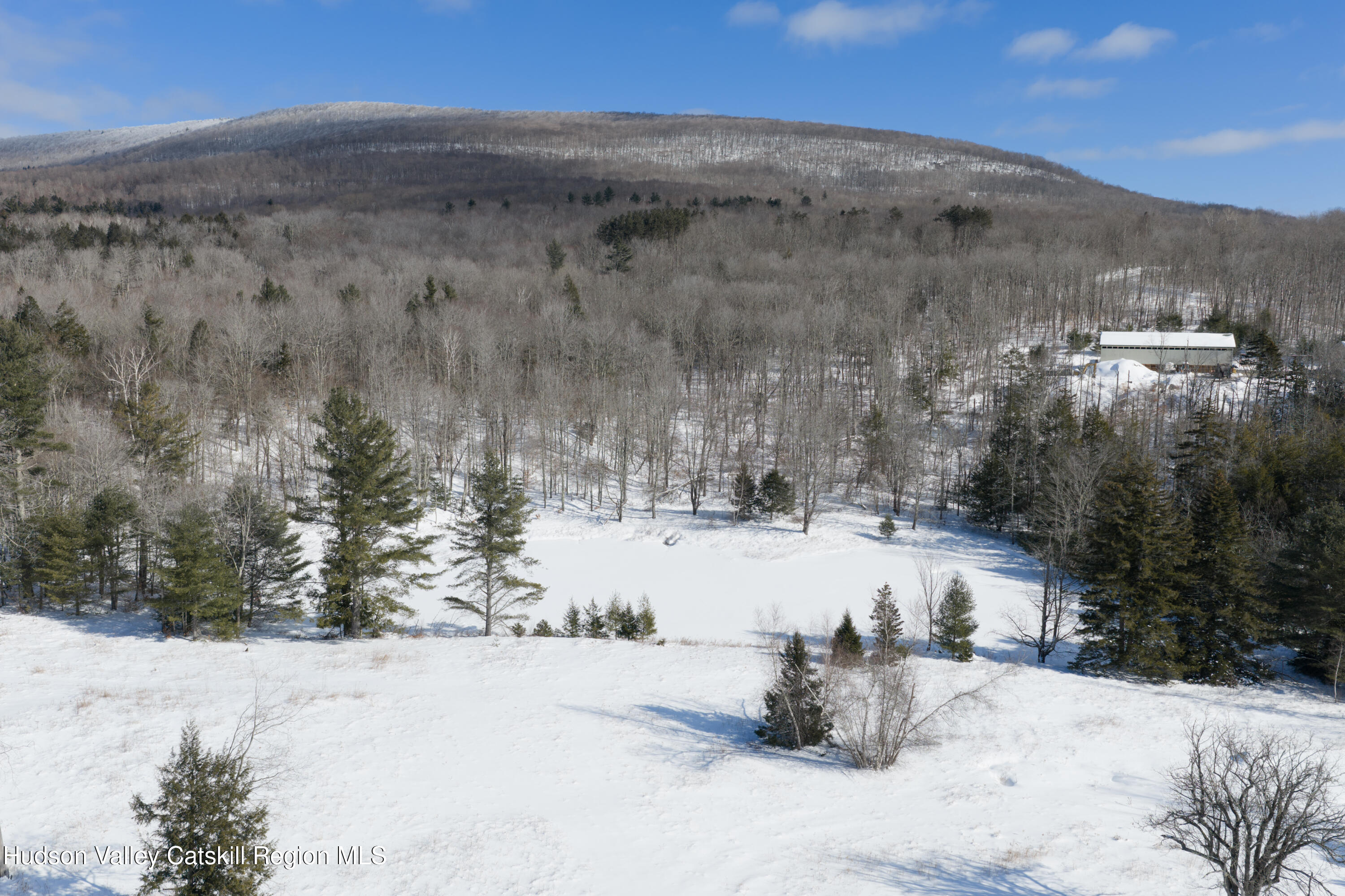 Lot 3 Ruth Court Watervliet, NY 12189 - Photo 11 of 15 11 Lot 3_Ruth_Court Lake