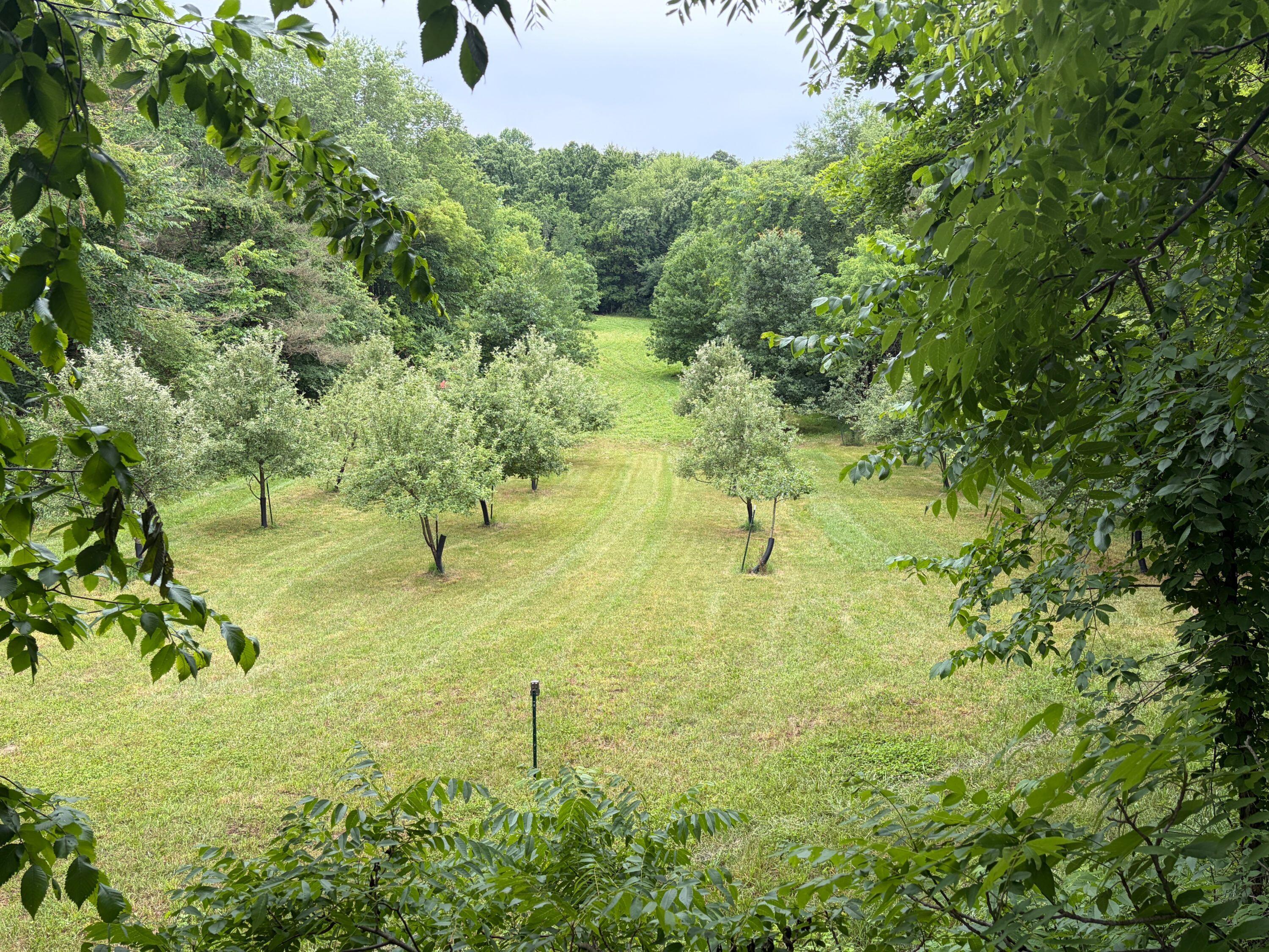 52402 Oak Plains Road Marcellus, MI 49067 - Photo 23 of 59 IMG_8507