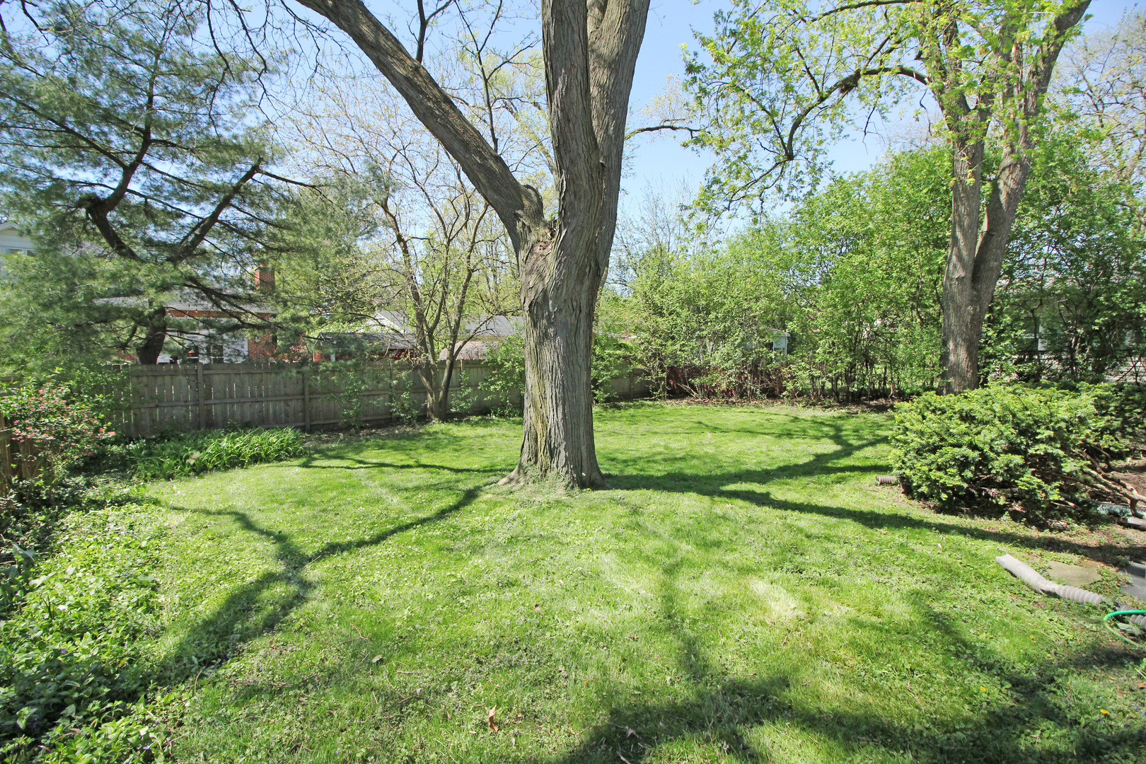 5314 Franklin Avenue Western Springs, IL 60558 - Photo 3 of 5 a view of a yard with a tree
