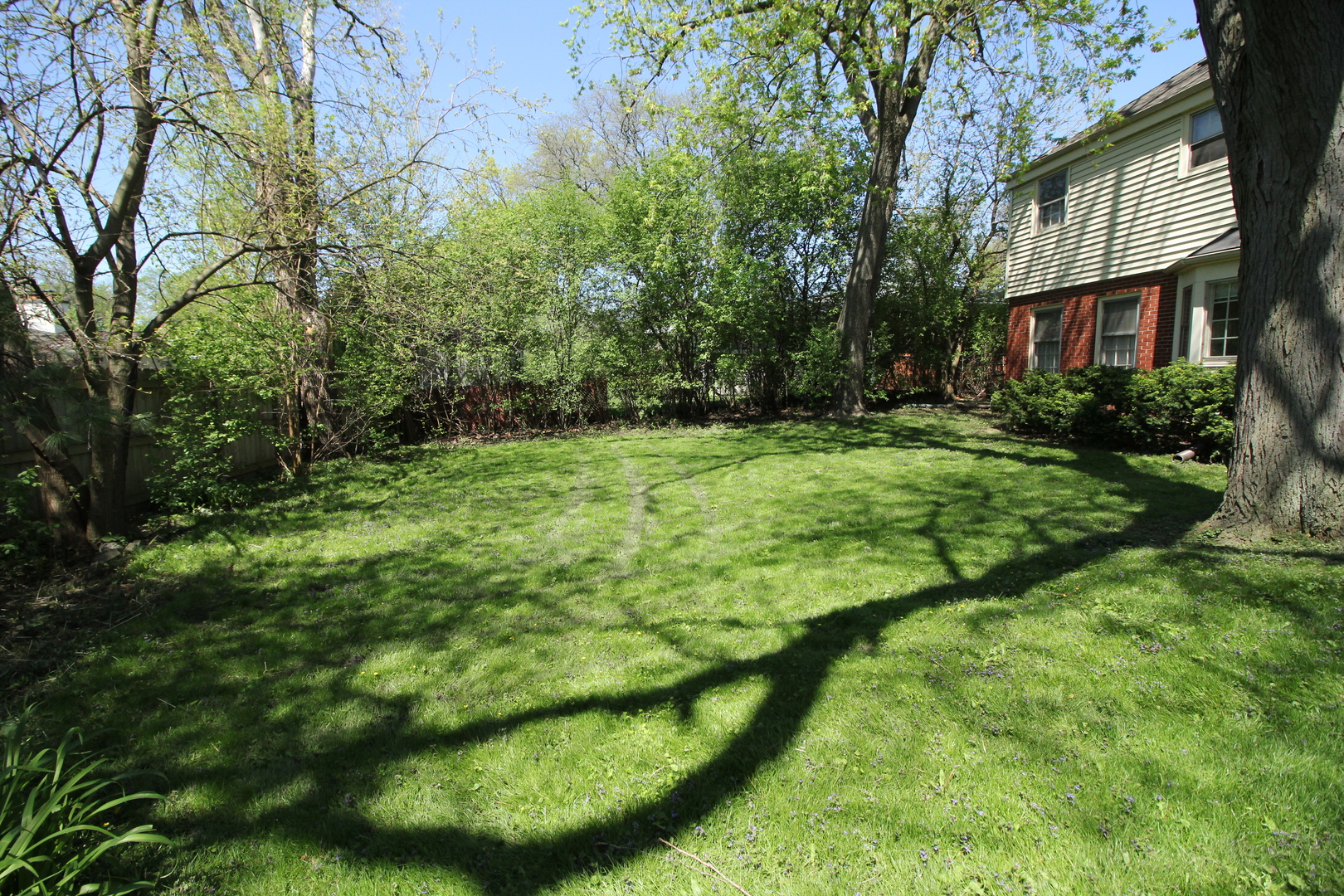 5314 Franklin Avenue Western Springs, IL 60558 - Photo 5 of 5 a view of a backyard with plants and large trees