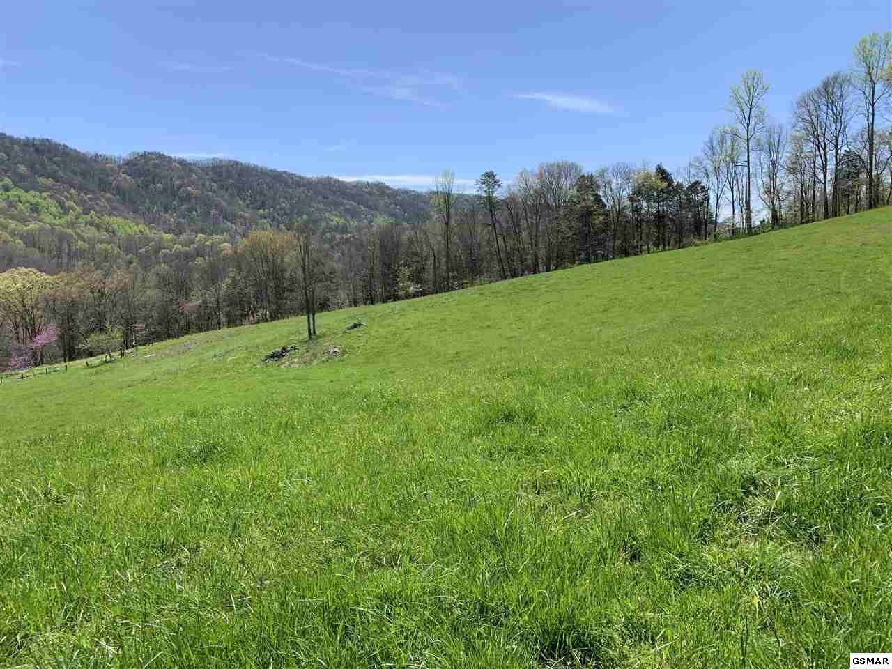 617 War Creek Road Eidson, TN 37731 - Photo 5 of 35
