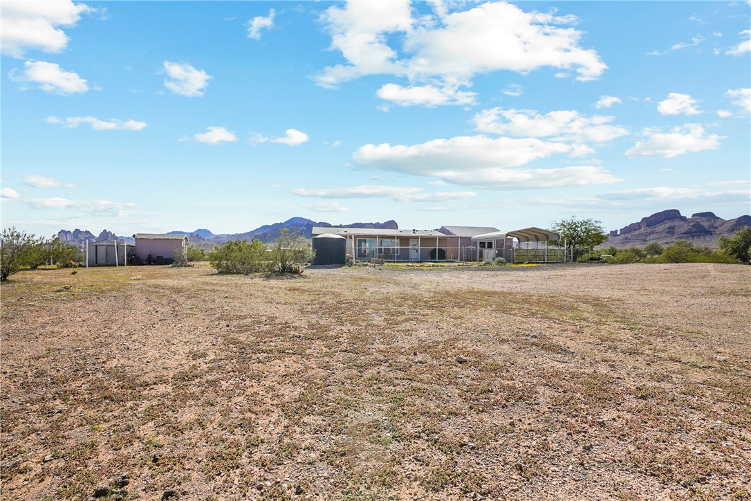 1354 Don Luis Road Golden Valley, AZ 86413 - Photo 39 of 49 Yard