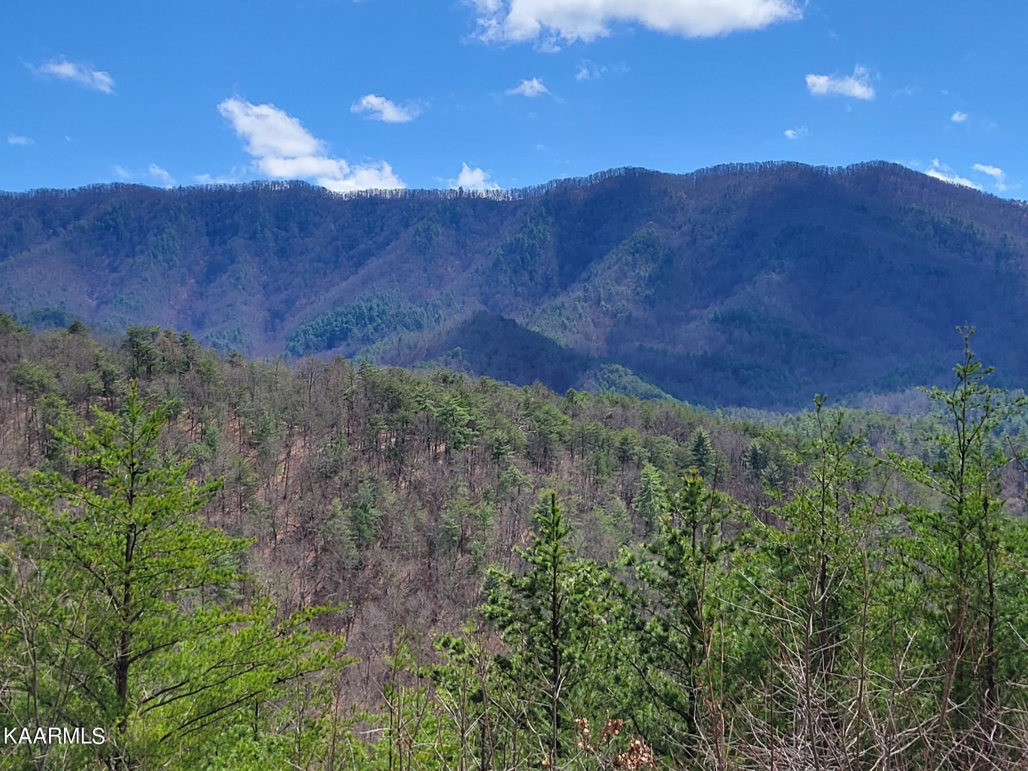 2193 Mt Pleasant Road Vonore, TN 37885 - Photo 2 of 9 20220319_142725