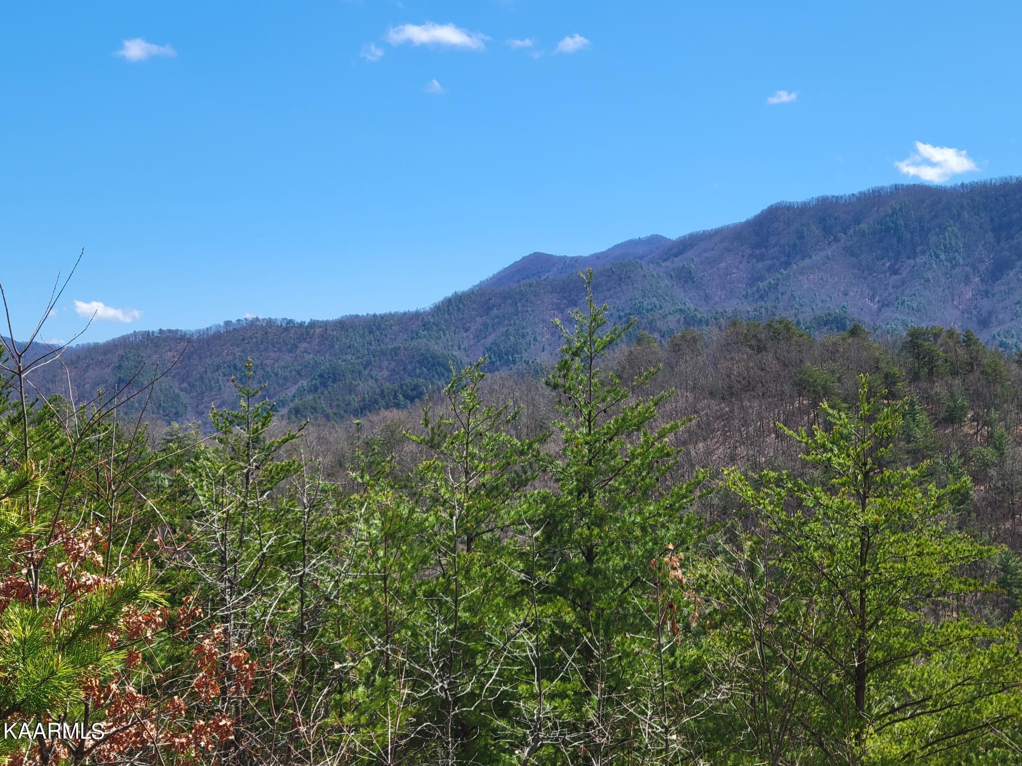 2193 Mt Pleasant Road Vonore, TN 37885 - Photo 5 of 9 20220319_142041