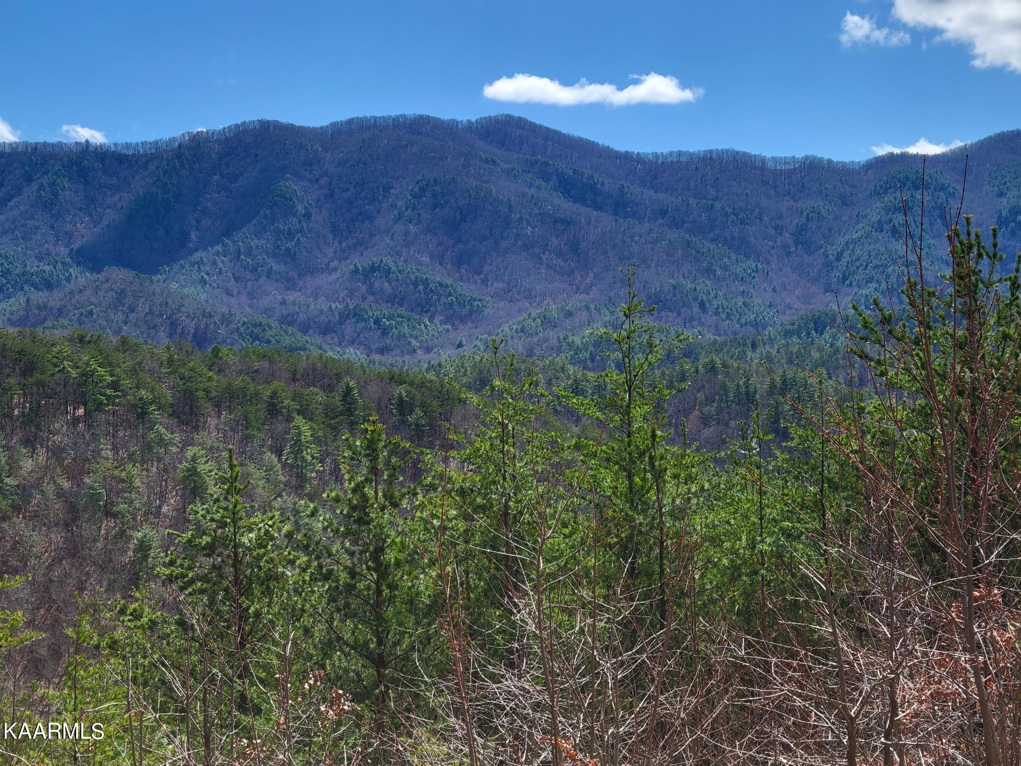 2193 Mt Pleasant Road Vonore, TN 37885 - Photo 6 of 9 20220319_141914