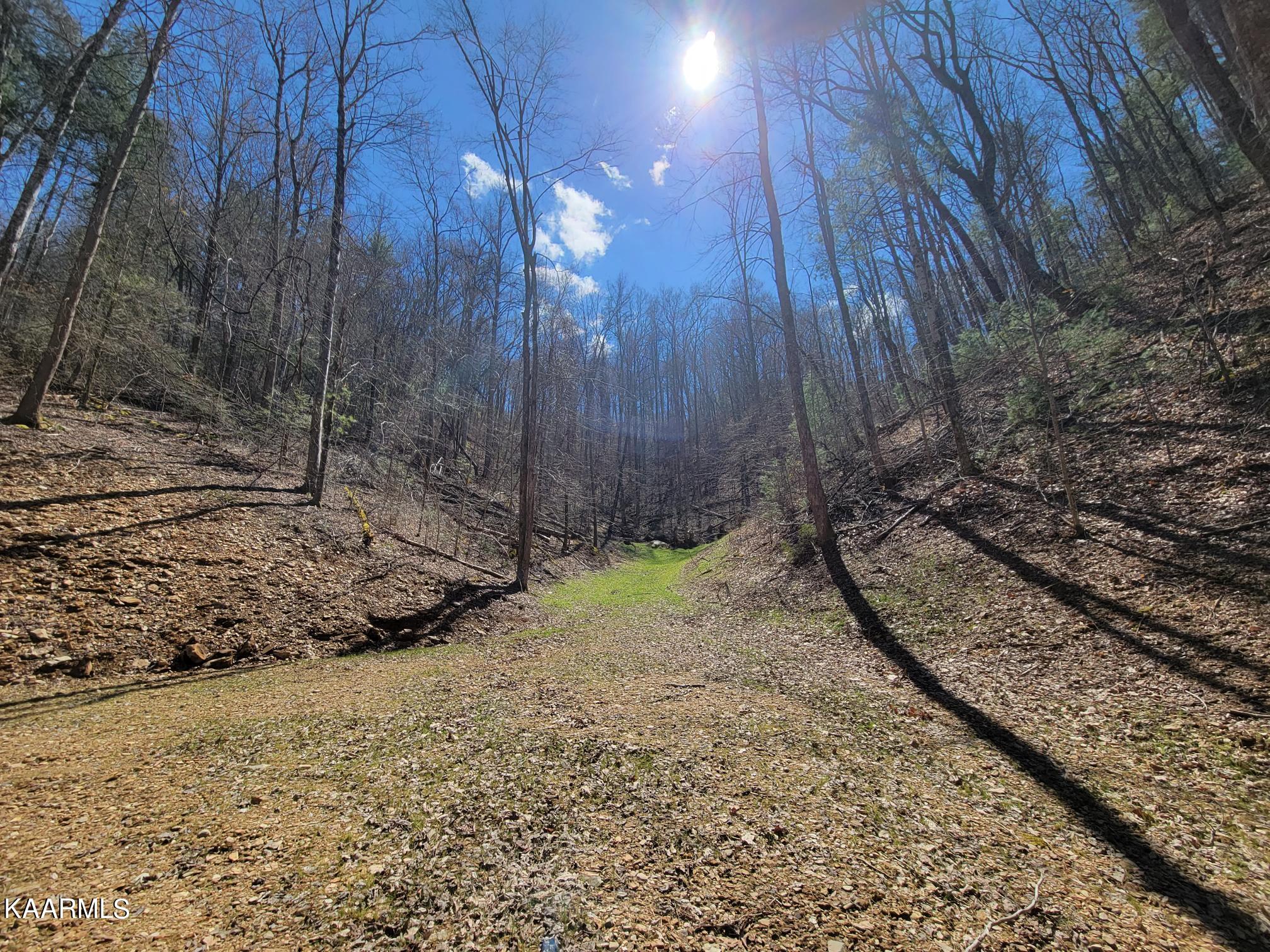2193 Mt Pleasant Road Vonore, TN 37885 - Photo 7 of 9 20220319_140843