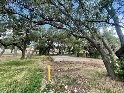 a view of yard with trees