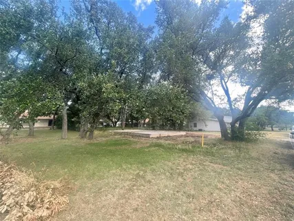 a view of a trees in a yard
