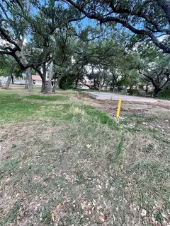 a view of garden with trees
