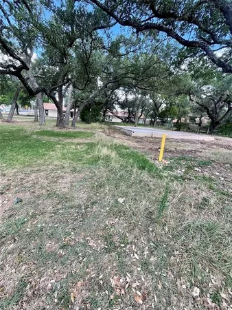 a view of garden with trees