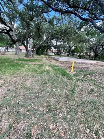 a view of garden with trees