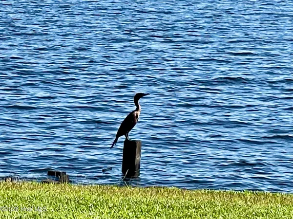 $49,000 | 114 Gov Eden House Road, Merry Hill, NC 27957